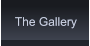 The Gallery The Gallery