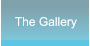 The Gallery The Gallery